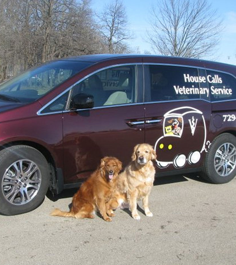 Two dogs outside the Apple Valley Veterinary Clinic van