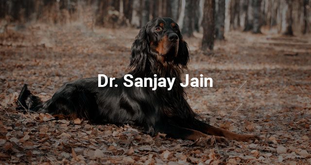 Sanjay Jain